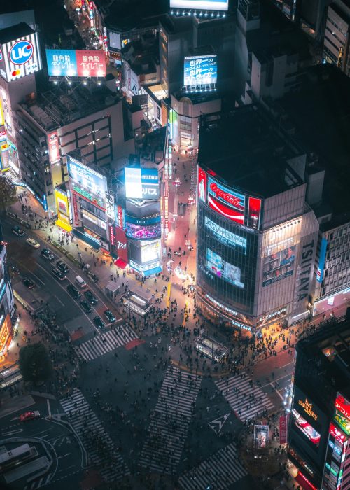 pexels-digital-phase-2150191459-31008029